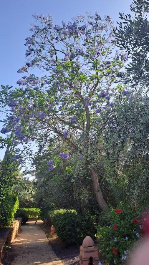 דירות מרקש Karibouch Marrakech מראה חיצוני תמונה